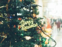 クリスマスツリーの画像